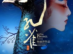 -深圳大剧院