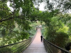 -南宁良凤江国家森林公园