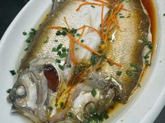 -丹水桥地锅鱼·翘嘴鲌·地方特色全鱼宴(丹江口大坝店)