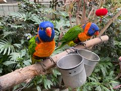 -南宫五洲植物乐园