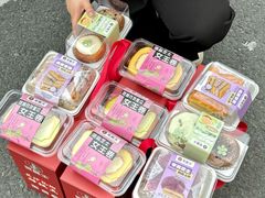 -吴酥生宫廷酥饼(南门口店)