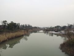 -江滩湿地公园