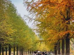 -南京市无想山景区