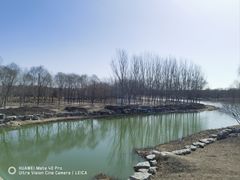 -北京麋鹿生态实验中心