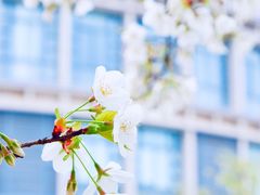 -公益图书馆(江南大学店)