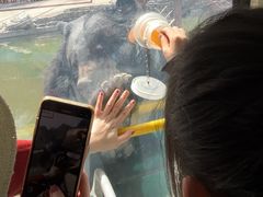 -栾川竹海野生动物园