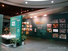 -中国湿地博物馆