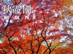 -秋霞圃
