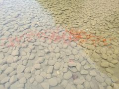 -中国艺术研究院油画院