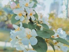 -武昌江滩