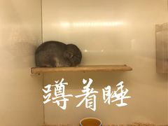 -龙猫仔乐园(惠福东路店)