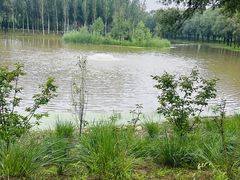 -东郊湿地公园