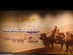 -包头博物馆