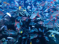 -成都浩海立方海洋公园