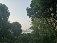 -重庆市江北嘴中央商务区中央公园