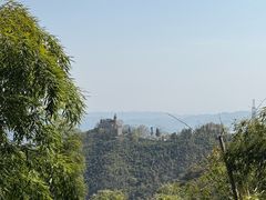 -莫干山风景区
