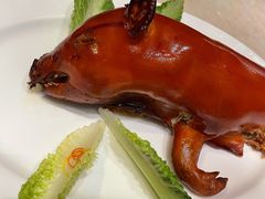 乳猪焗饭-8餐厅(新葡京酒店)