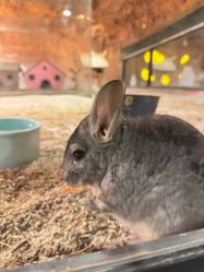 -酷嗒动物文化乐园(cutezoo西溪乐天城店)