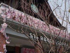 -星巴克臻选(思南公馆店)
