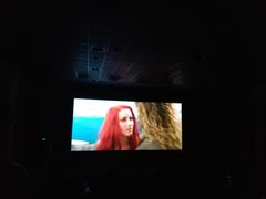 -AMG海上明珠影城(上海环球港RealDCinema店)