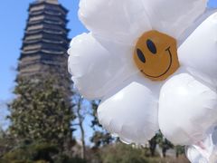 -红梅公园