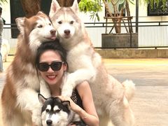 -TrueLove @ Neverland (Husky Cafe)