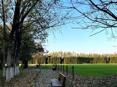 -汉长安城未央宫国家考古遗址公园