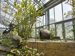 -国家植物园南园