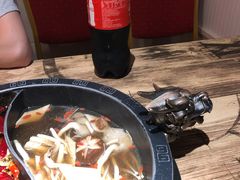 -销魂美蛙鱼头火锅(上海首店)