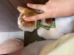 -Again Coffee Roaster(香蜜湖店)