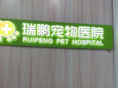 -瑞鹏宠物医院·微创内窥镜·骨外科·牙科(翠竹分院)