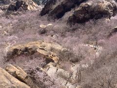 -北京凤凰岭