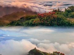 -姑婆山旅游区