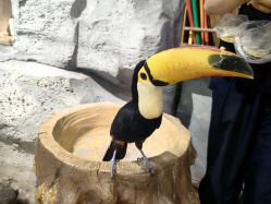 -Zoolung Zoolung动物主题公园(海信广场店)