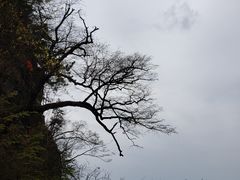 -塔云山