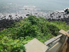 -硇洲岛旅游区