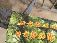 -辛玛王国游乐园