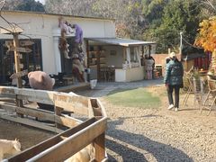 -HERRE·FARM 赫尔露营农场·团建聚会包场