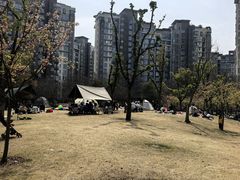 -新江湾城公园