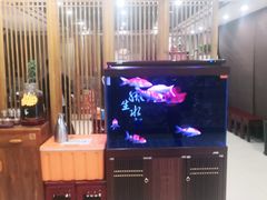 -邵年鸽(杨庄店)