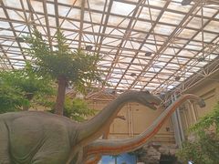 -国家自然博物馆