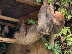 -广州长隆野生动物世界