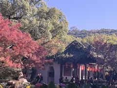 -惠山古镇·寄畅园