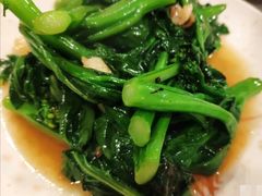 白灼菜心-紫金食坊(江南西路店)