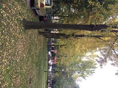 西南交通大学(九里堤校区)-西南交通大学(九里校区)