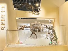 -国家自然博物馆