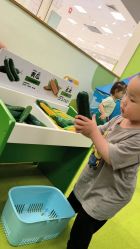 -莫莉幻想儿童乐园(广州番禺永旺店)