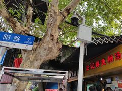 -汪记鲜鱼糊汤粉(沈阳路总店)