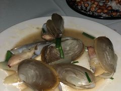 -越海渔村