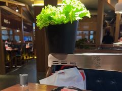 -九田家黑牛烤肉料理(新辰里亚运村店)